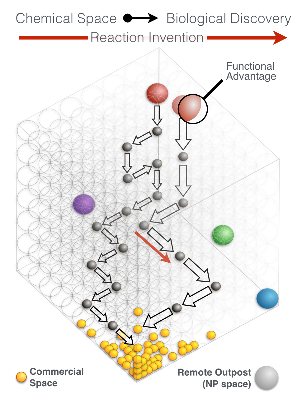 Chemical Space, Biological discovery